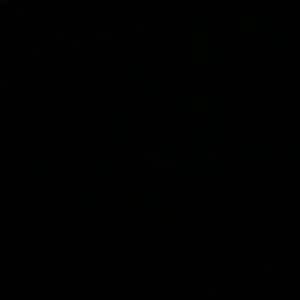 Meet your Posher, Lee